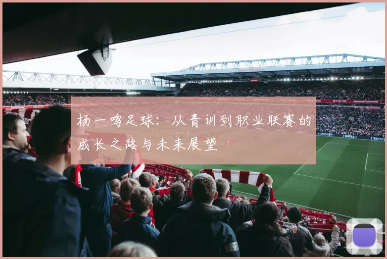 杨一鸣足球：从青训到职业联赛的成长之路与未来展望