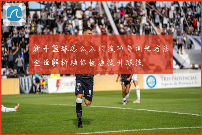 新手篮球怎么入门技巧与训练方法全面解析助你快速提升球技