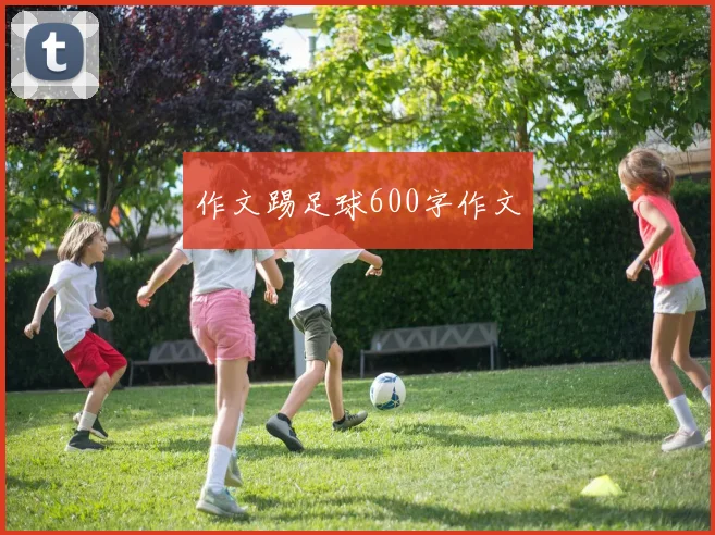 作文踢足球600字作文