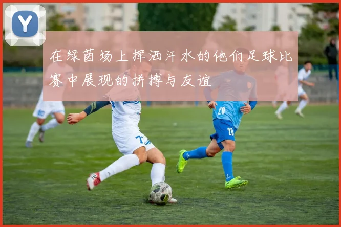 在绿茵场上挥洒汗水的他们足球比赛中展现的拼搏与友谊